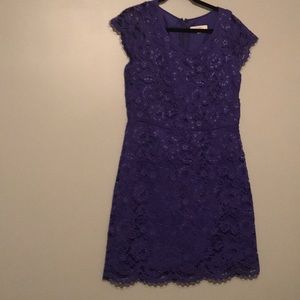 Loft Lace Dress
